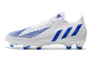 Adidas Predator Edge.1 Low FG