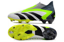 'ADIDAS PREDATOR ACCURACY .+ FG VERDE CINZA