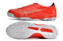 MIZUNO JAPAN SOCIETY