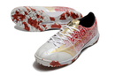 MIZUNO JAPAN SOCIETY